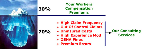 Iceberg Detailing Cost Breakdown 